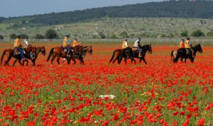 turismo equestre in Toscana