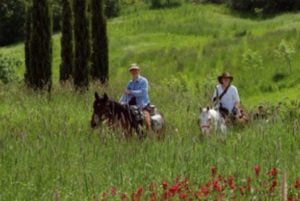  bridleways in Tuscany and Siena