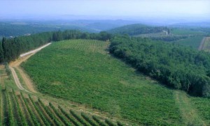 Chianti-Classico-Wine-Region--Tuscany