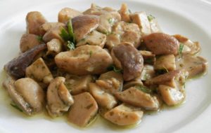 Funghi-Porcini-a-sangimignano